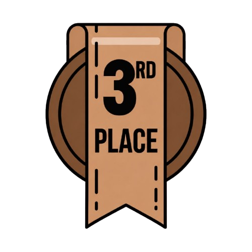 3rd Prize